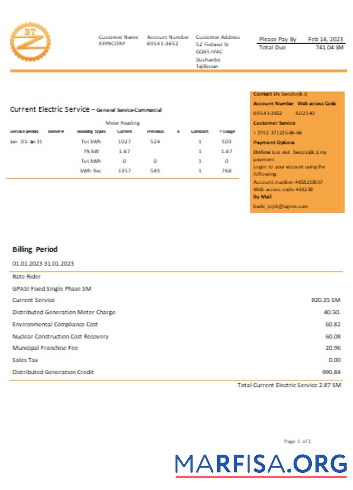 Printable Barqi Tojik Company electricity business bill, SCR template